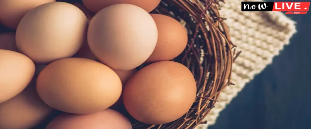 Egg