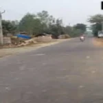 80 Wards
