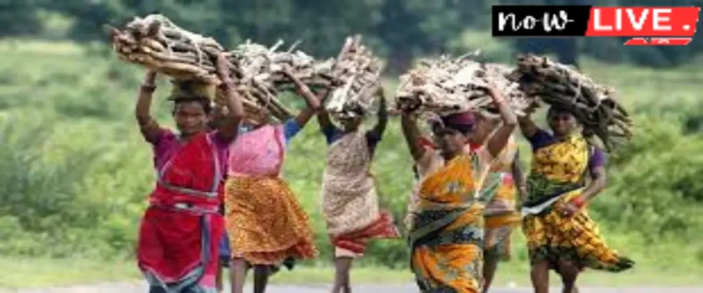 Culture and Tradition