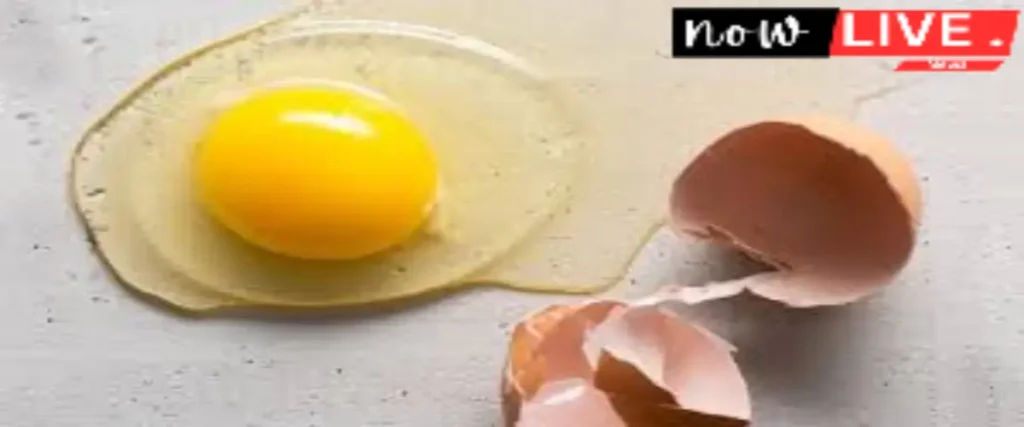 Egg